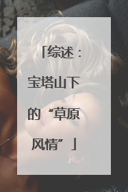 综述：宝塔山下的“草原风情”