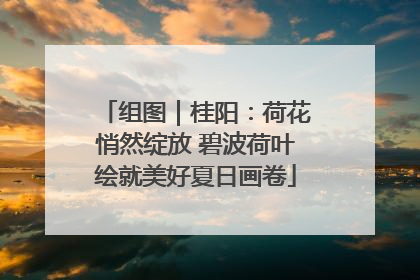 组图｜桂阳：荷花悄然绽放 碧波荷叶绘就美好夏日画卷