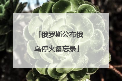俄罗斯公布俄乌停火备忘录