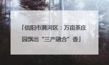 信阳市浉河区：万亩茶庄园飘出“三产融合”香