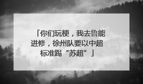 你们玩梗，我去鲁能进修，徐州队要以中超标准踢“苏超”