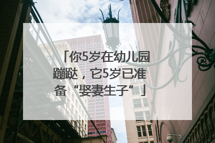 你5岁在幼儿园蹦跶，它5岁已准备“娶妻生子”
