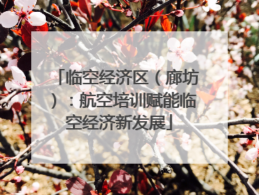 临空经济区（廊坊）：航空培训赋能临空经济新发展