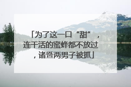 为了这一口“甜”，连干活的蜜蜂都不放过，诸暨两男子被抓