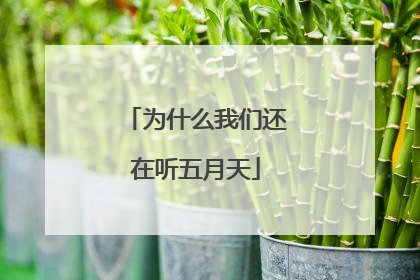 为什么我们还在听五月天