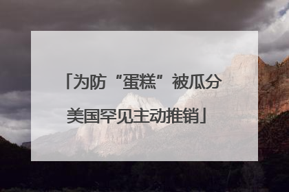 为防“蛋糕”被瓜分 美国罕见主动推销