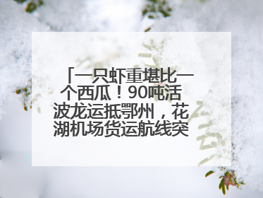 一只虾重堪比一个西瓜！90吨活波龙运抵鄂州，花湖机场货运航线突破100条