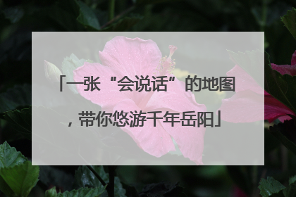 一张“会说话”的地图，带你悠游千年岳阳
