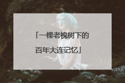 一棵老槐树下的百年大连记忆