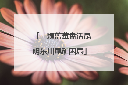 一颗蓝莓盘活昆明东川尾矿困局