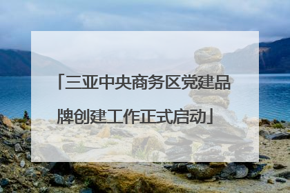 三亚中央商务区党建品牌创建工作正式启动