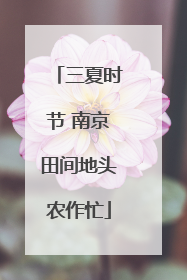 三夏时节 南京田间地头农作忙
