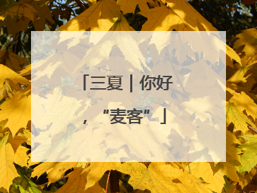 三夏｜你好，“麦客”