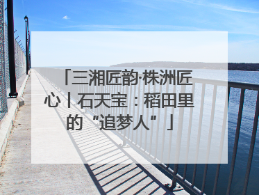 三湘匠韵·株洲匠心丨石天宝：稻田里的“追梦人”