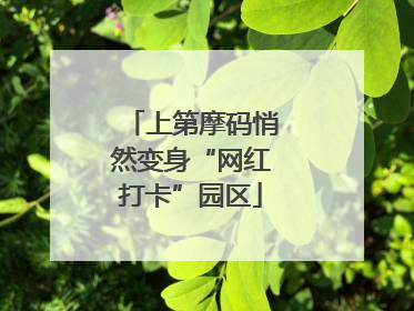 上第摩码悄然变身“网红打卡”园区