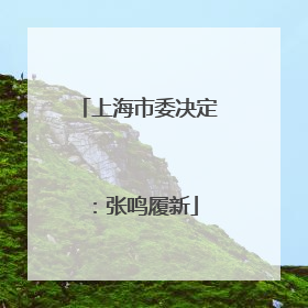 上海市委决定：张鸣履新