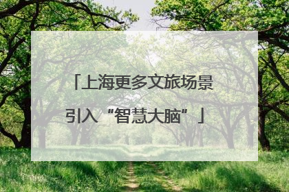 上海更多文旅场景引入“智慧大脑”
