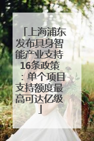 上海浦东发布具身智能产业支持16条政策：单个项目支持额度最高可达亿级