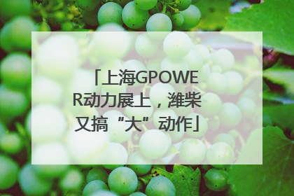 上海GPOWER动力展上，潍柴又搞“大”动作