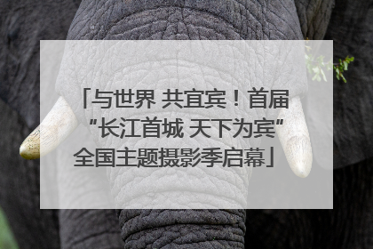 与世界 共宜宾！首届“长江首城 天下为宾”全国主题摄影季启幕