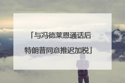 与冯德莱恩通话后 特朗普同意推迟加税