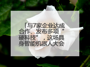 与7家企业达成合作、发布多项“硬科技”，这场具身智能机器人大会蓉城启幕