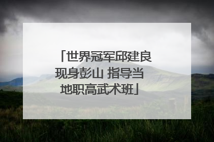 世界冠军邱建良现身彭山 指导当地职高武术班
