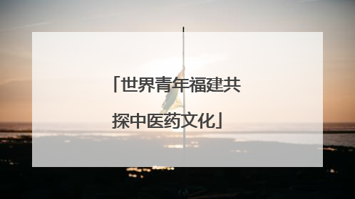 世界青年福建共探中医药文化