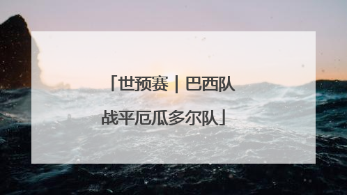 世预赛｜巴西队战平厄瓜多尔队