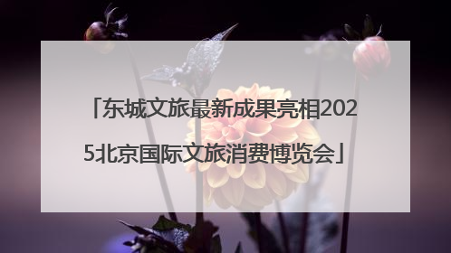 东城文旅最新成果亮相2025北京国际文旅消费博览会