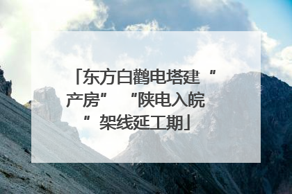 东方白鹳电塔建“产房” “陕电入皖”架线延工期