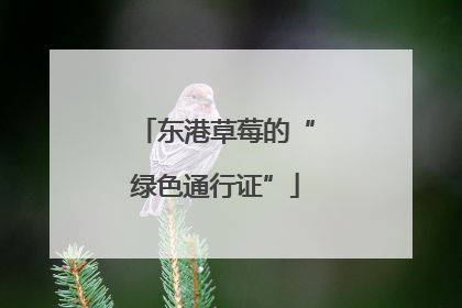 东港草莓的“绿色通行证”