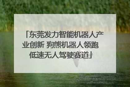 东莞发力智能机器人产业创新 狗熊机器人领跑低速无人驾驶赛道