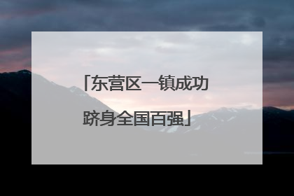 东营区一镇成功跻身全国百强