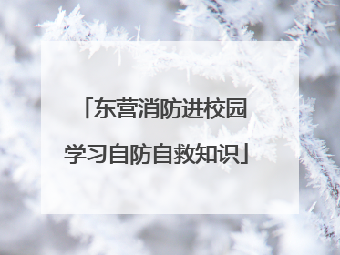 东营消防进校园 学习自防自救知识