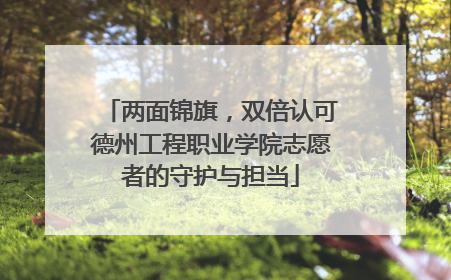 两面锦旗，双倍认可德州工程职业学院志愿者的守护与担当