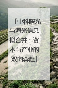中科曙光与海光信息拟合并：资本与产业的双向奔赴