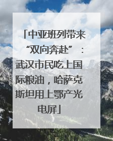 中亚班列带来“双向奔赴”：武汉市民吃上国际粮油，哈萨克斯坦用上鄂产光电屏