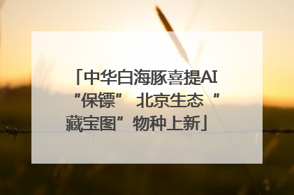 中华白海豚喜提AI“保镖” 北京生态“藏宝图”物种上新