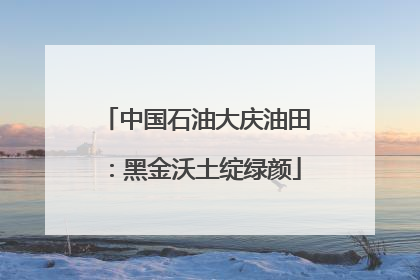 中国石油大庆油田：黑金沃土绽绿颜