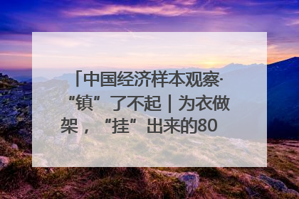中国经济样本观察·“镇”了不起｜为衣做架，“挂”出来的80亿元“衣架产业”