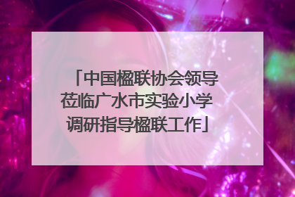 中国楹联协会领导莅临广水市实验小学调研指导楹联工作