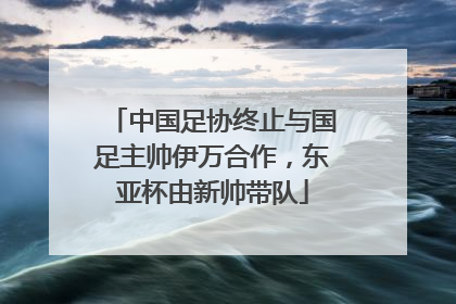 中国足协终止与国足主帅伊万合作，东亚杯由新帅带队