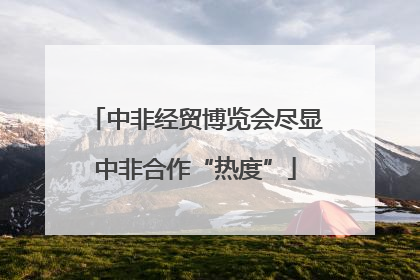 中非经贸博览会尽显中非合作“热度”