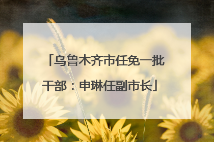 乌鲁木齐市任免一批干部：申琳任副市长