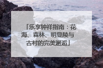 乐享钟祥指南：花海、森林、明显陵与古村的完美邂逅