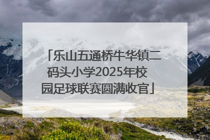 乐山五通桥牛华镇二码头小学2025年校园足球联赛圆满收官