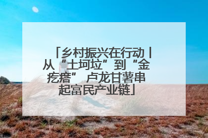 乡村振兴在行动丨从“土坷垃”到“金疙瘩” 卢龙甘薯串起富民产业链