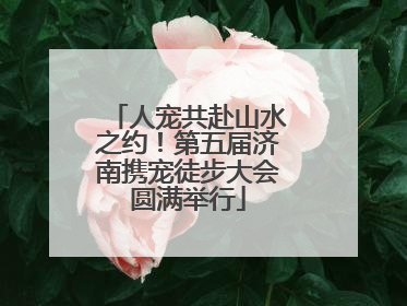 人宠共赴山水之约！第五届济南携宠徒步大会圆满举行
