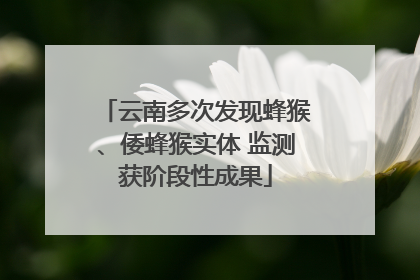 云南多次发现蜂猴、倭蜂猴实体 监测获阶段性成果